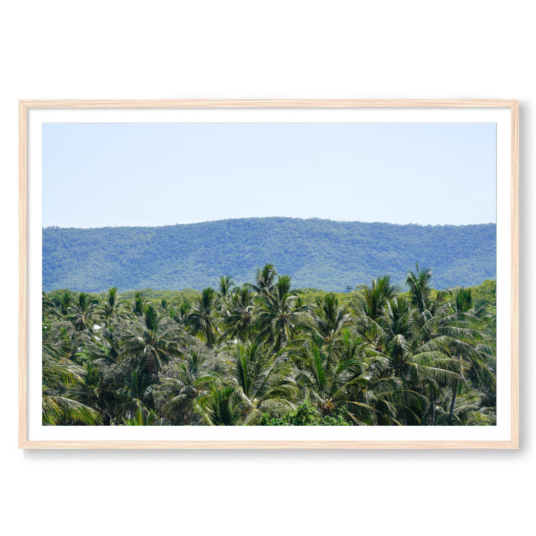 palm tree Coastal wall art print Beach prints wall art aesthetic wall art prints wall art ideas wall art paintings Wall art prints aesthetic bedroom ideas aesthetic wall art design wall art for bedroom wallpaper wall art bedroom aesthetic inspiration designs wall art for bathroom wall art for home coastal  decoration interior design ideas interior decoration interior and living coastal living coastal decor coastal beach style beachy vibes beach life wall art coastal style wall art prints