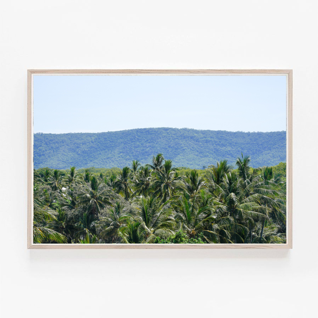 palm tree Coastal wall art print Beach prints wall art aesthetic wall art prints wall art ideas wall art paintings Wall art prints aesthetic bedroom ideas aesthetic wall art design wall art for bedroom wallpaper wall art bedroom aesthetic inspiration designs wall art for bathroom wall art for home coastal  decoration interior design ideas interior decoration interior and living coastal living coastal decor coastal beach style beachy vibes beach life wall art coastal style wall art prints