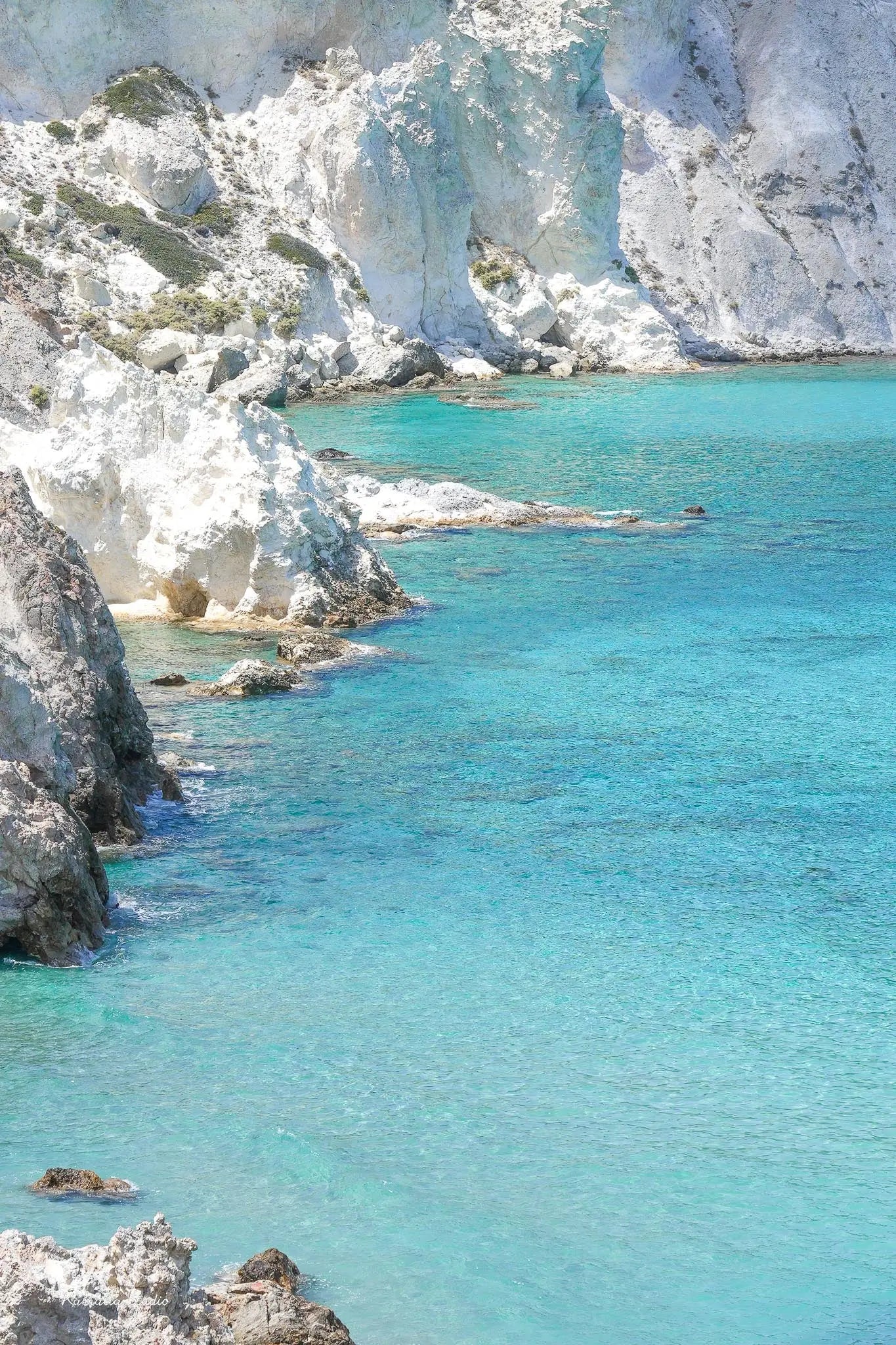 Mandrakia Wall Art Print Kamalia Studio