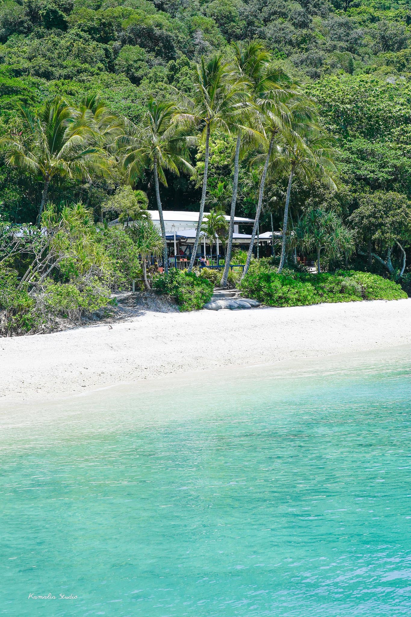 Fitzroy Island Wall Art Print