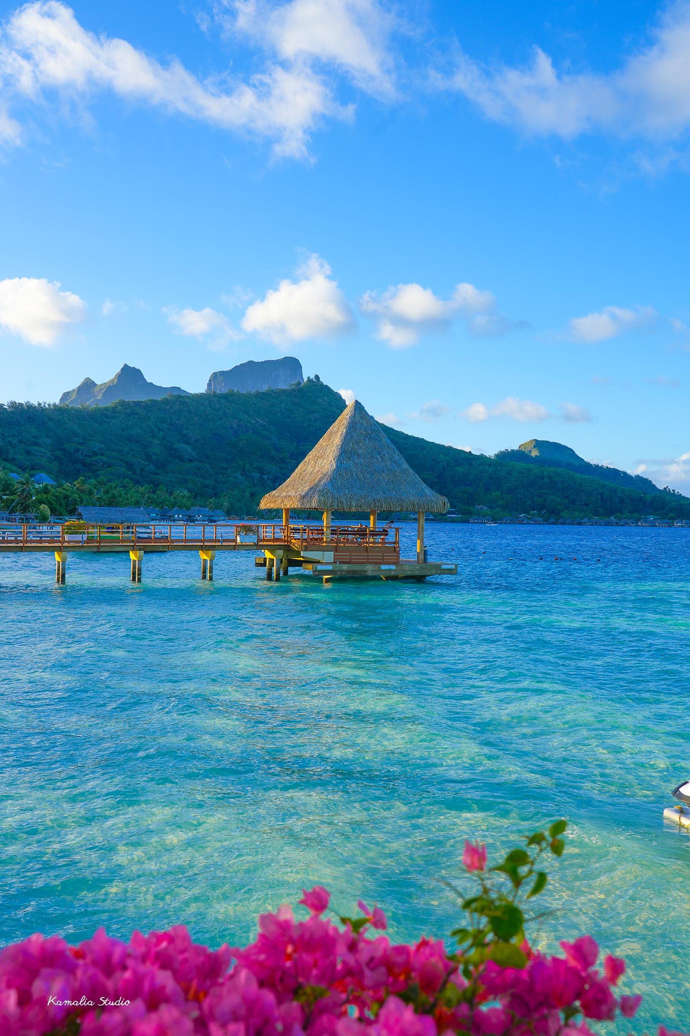 Otahi Wall Art Print