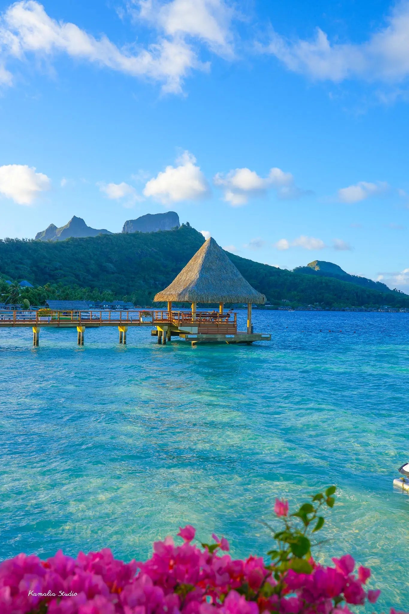 Otahi Wall Art Print Kamalia Studio