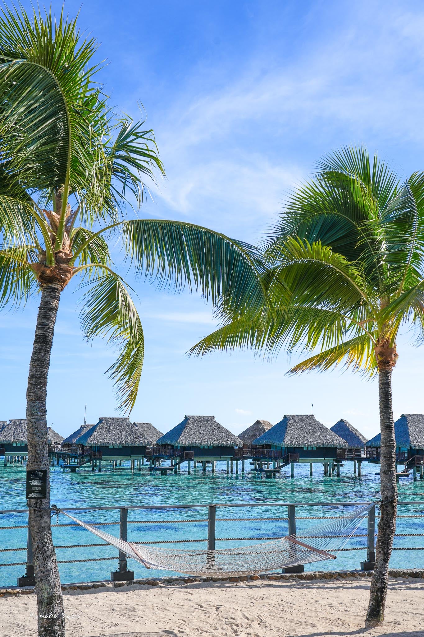 Kiana Wall Art Print