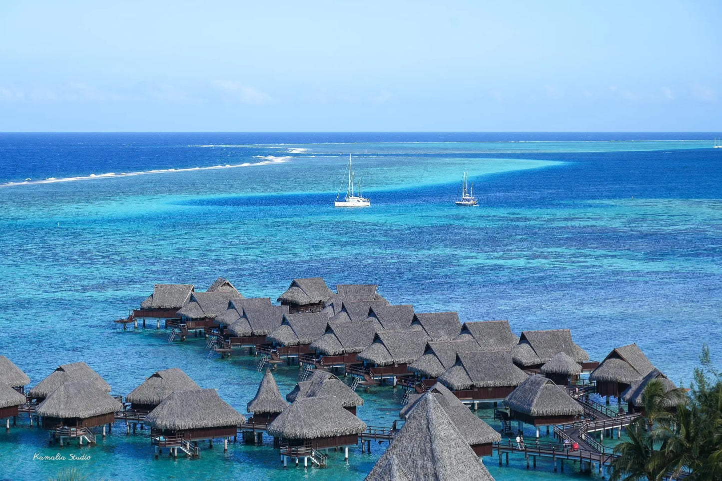 Moana Wall Art Print Kamalia Studio