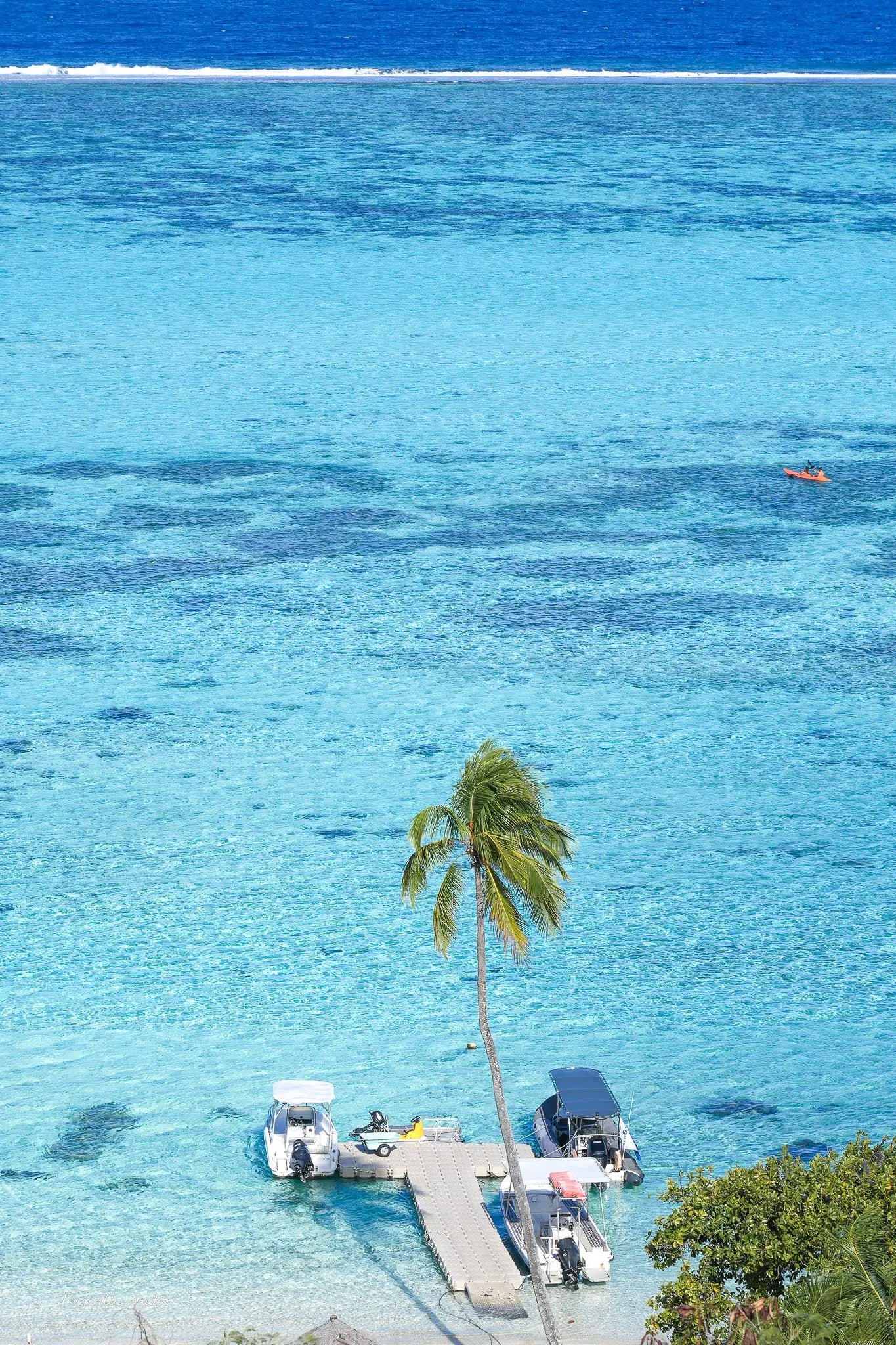 Tahitoa Wall Art Print Kamalia Studio