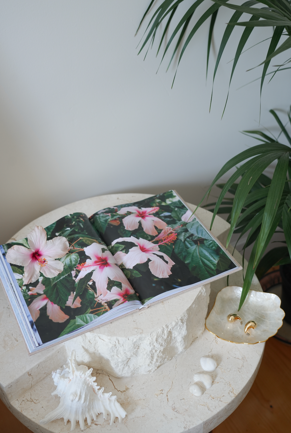 Europe Coffee Table Book