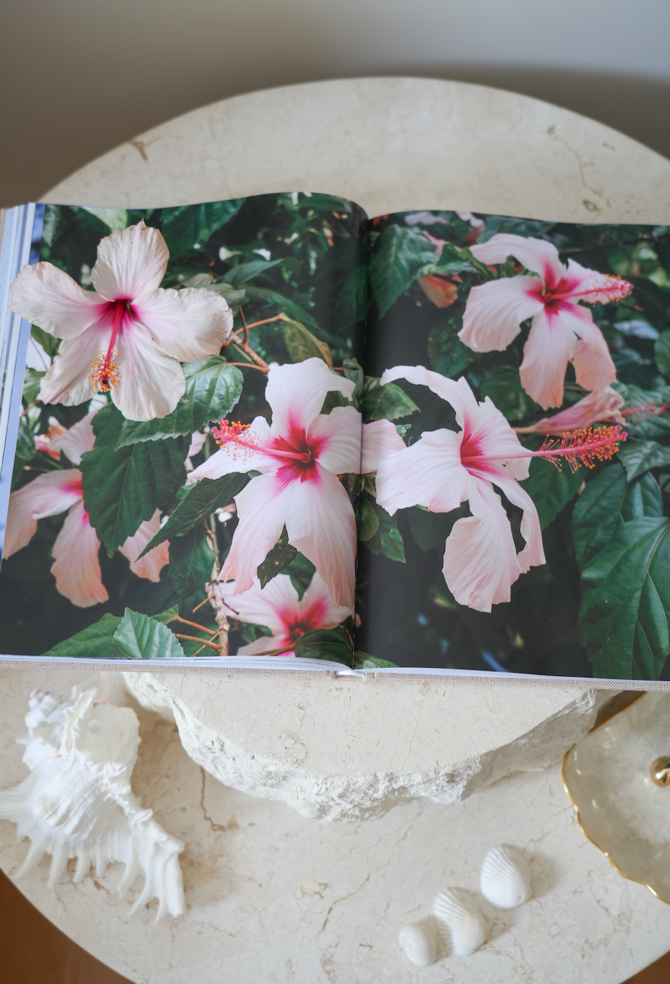 Europe Coffee Table Book