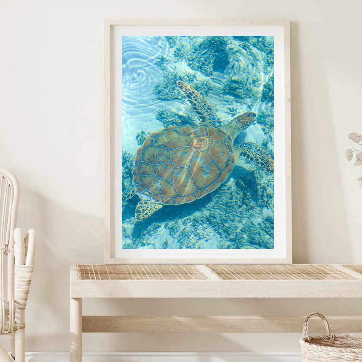 Turtle Wall Art Print