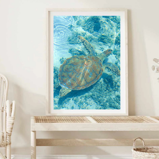 Turtle Wall Art Print
