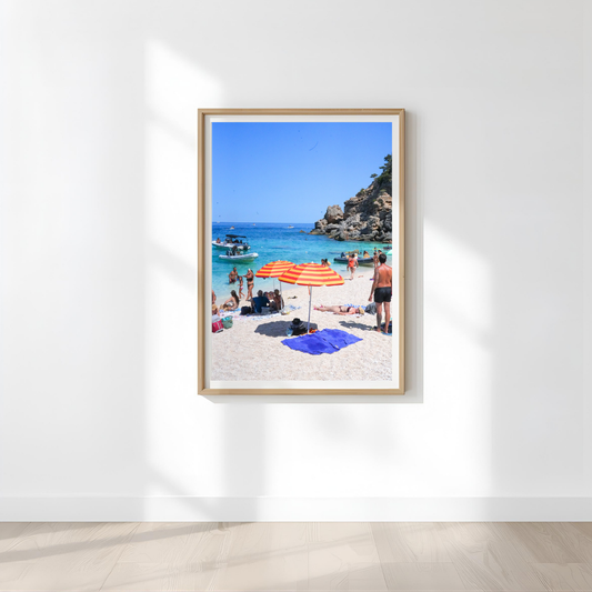 Alba Wall Art Print