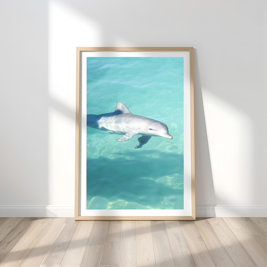 Monkey Mia Wall Art Print Kamalia Studio