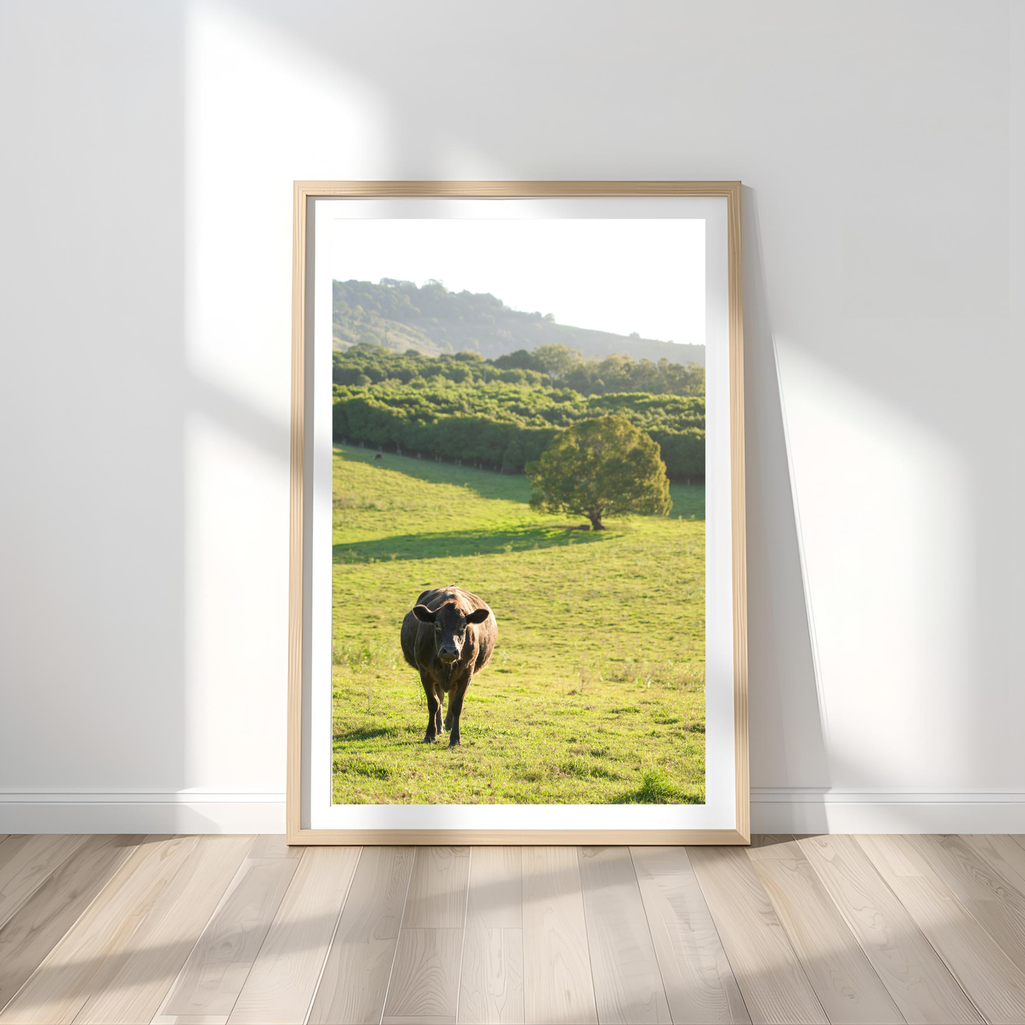 Cows Wall Art Print Kamalia Studio