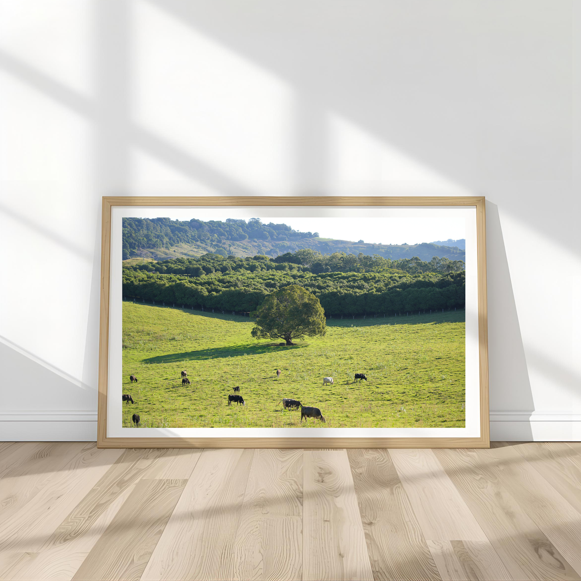 Cows Wall Art Print Landscape Kamalia Studio