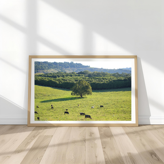 Cows Wall Art Print Landscape Kamalia Studio