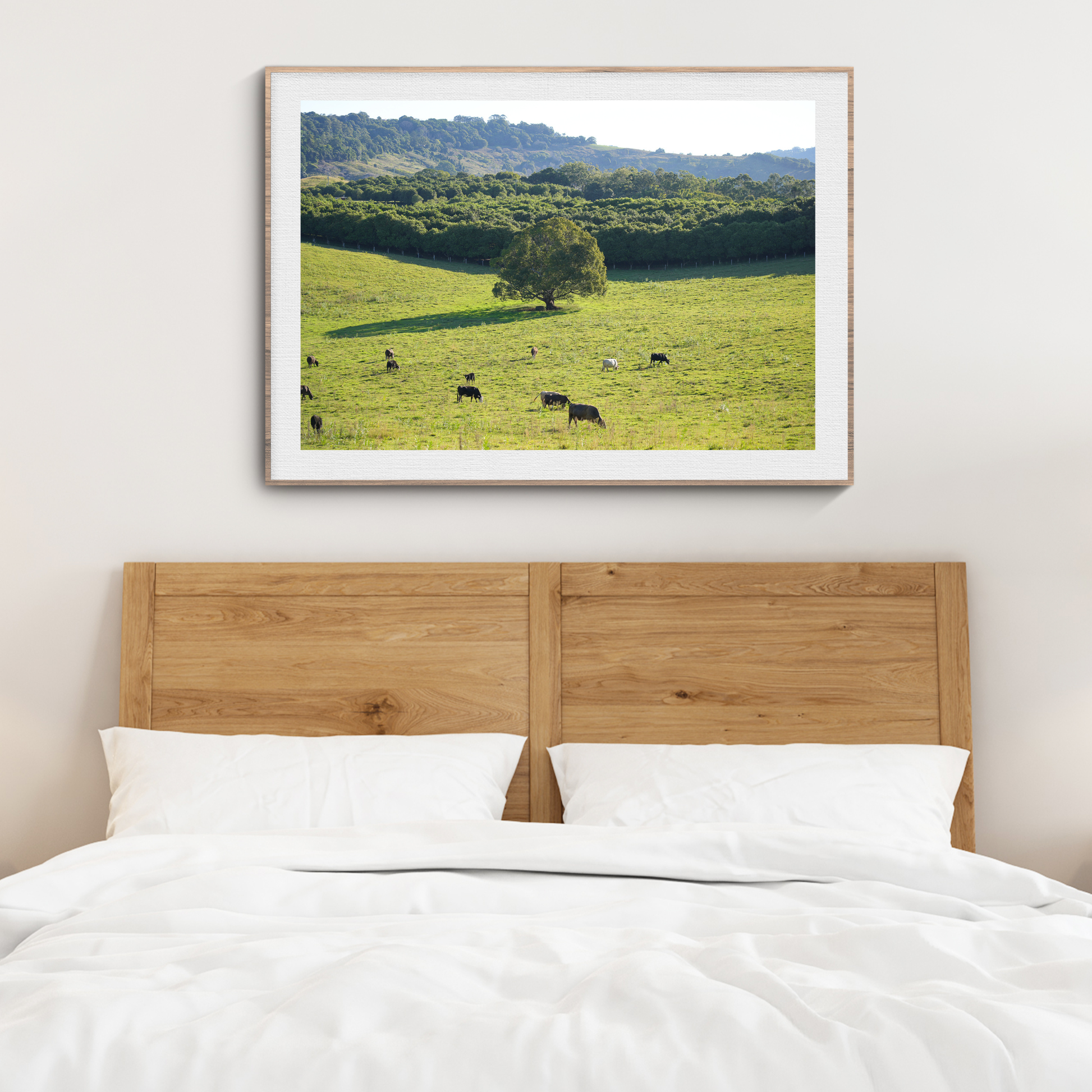 Cows Wall Art Print Landscape Kamalia Studio
