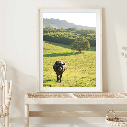Cows Wall Art Print Kamalia Studio