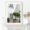 Stefano Wall Art Print