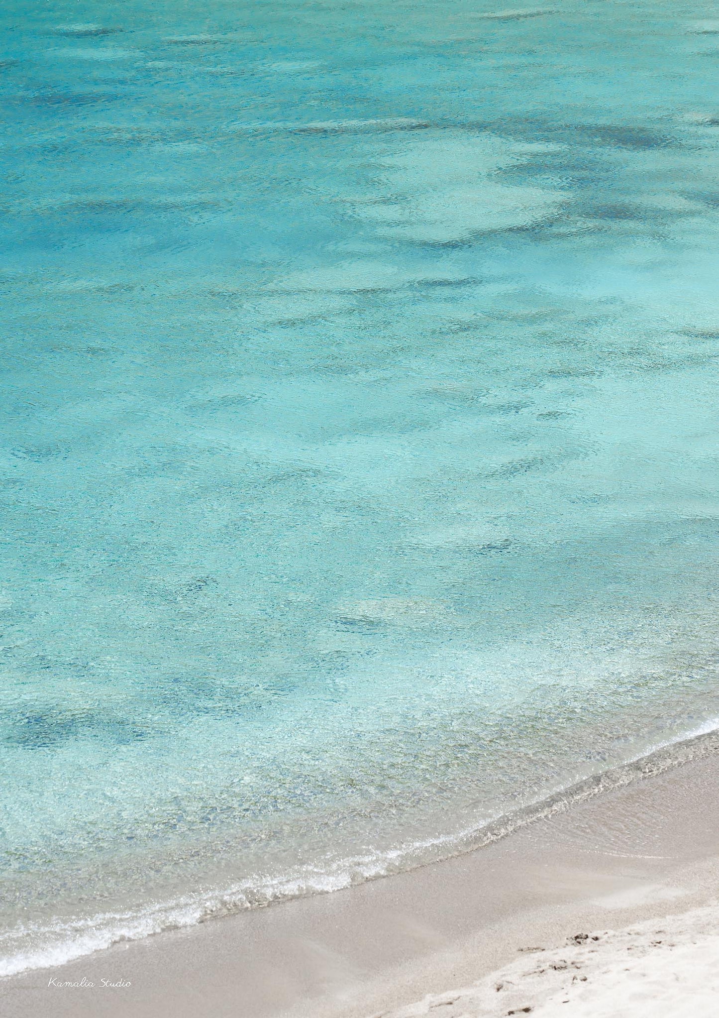 Penelope Wall Art Print