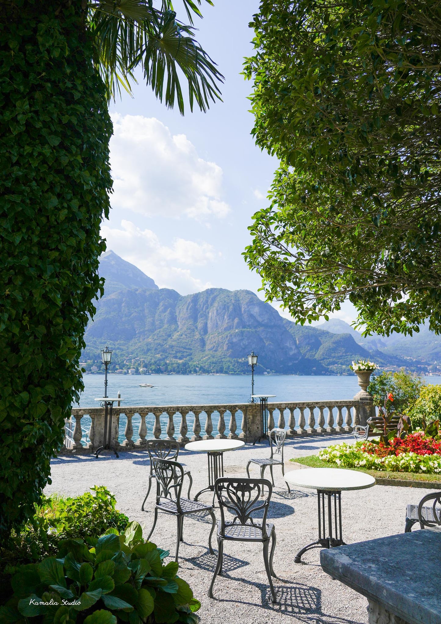 Francesco Wall Art Print