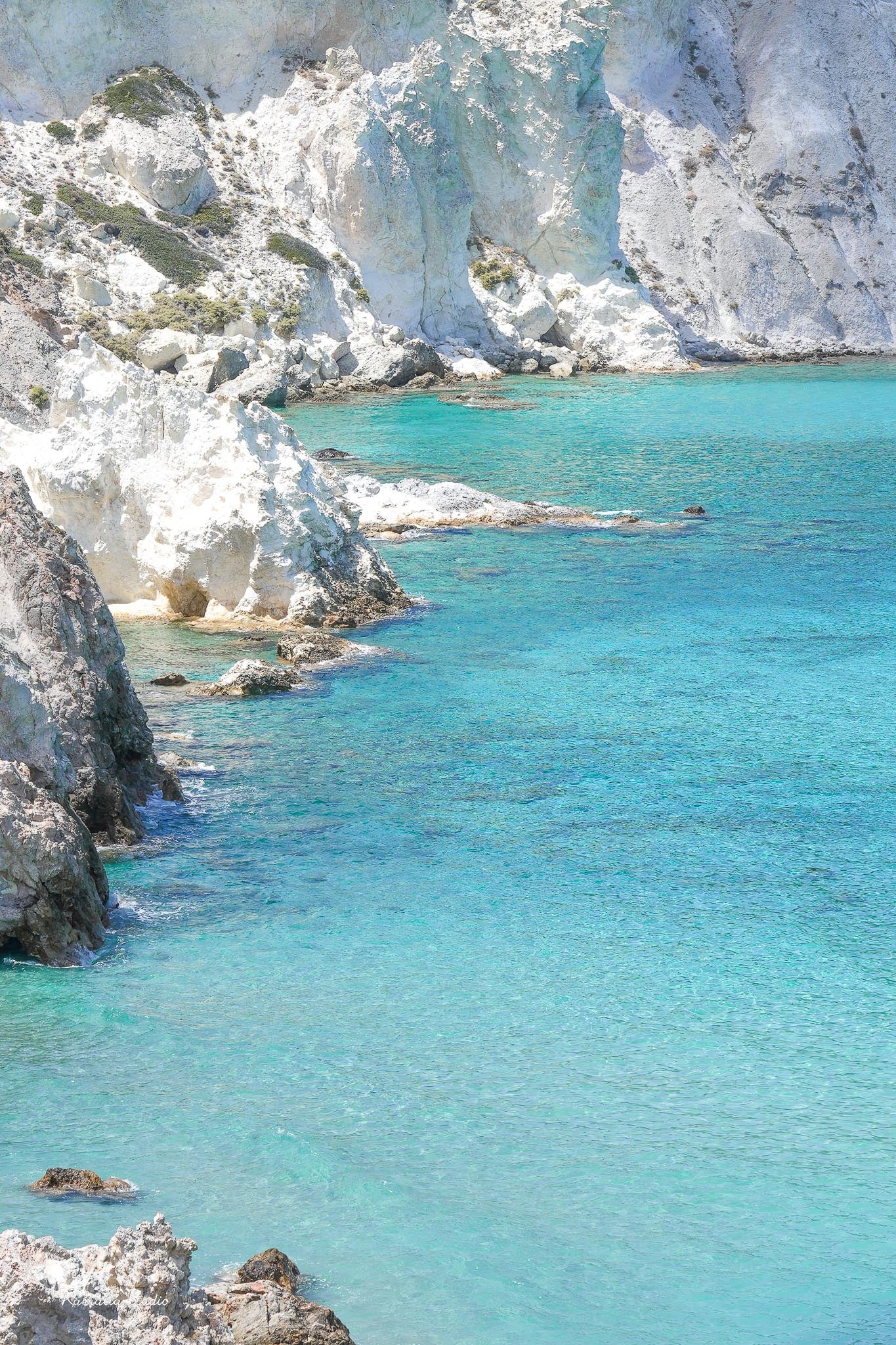 Mandrakia Wall Art Print