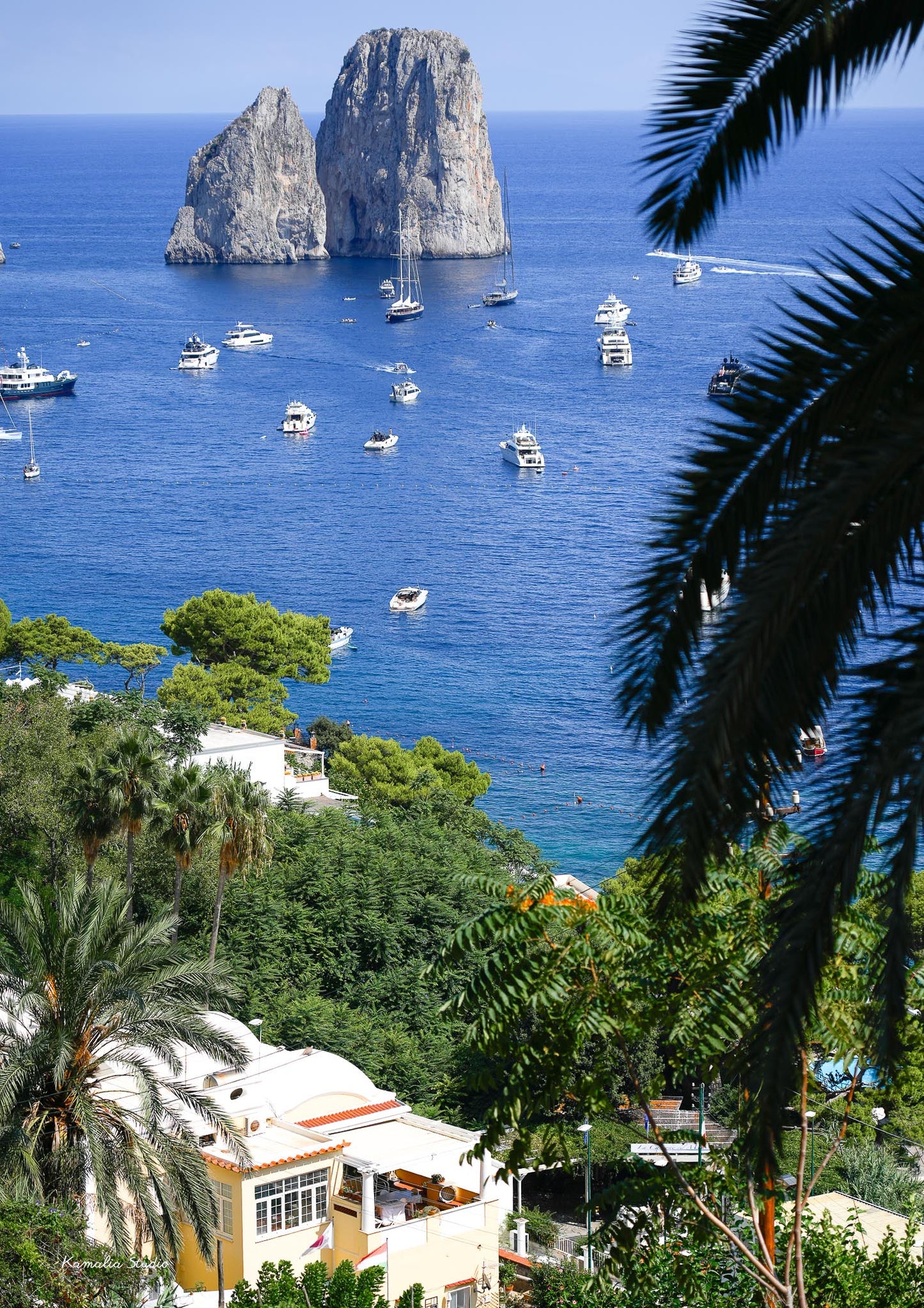 Bellavue Wall Art Print