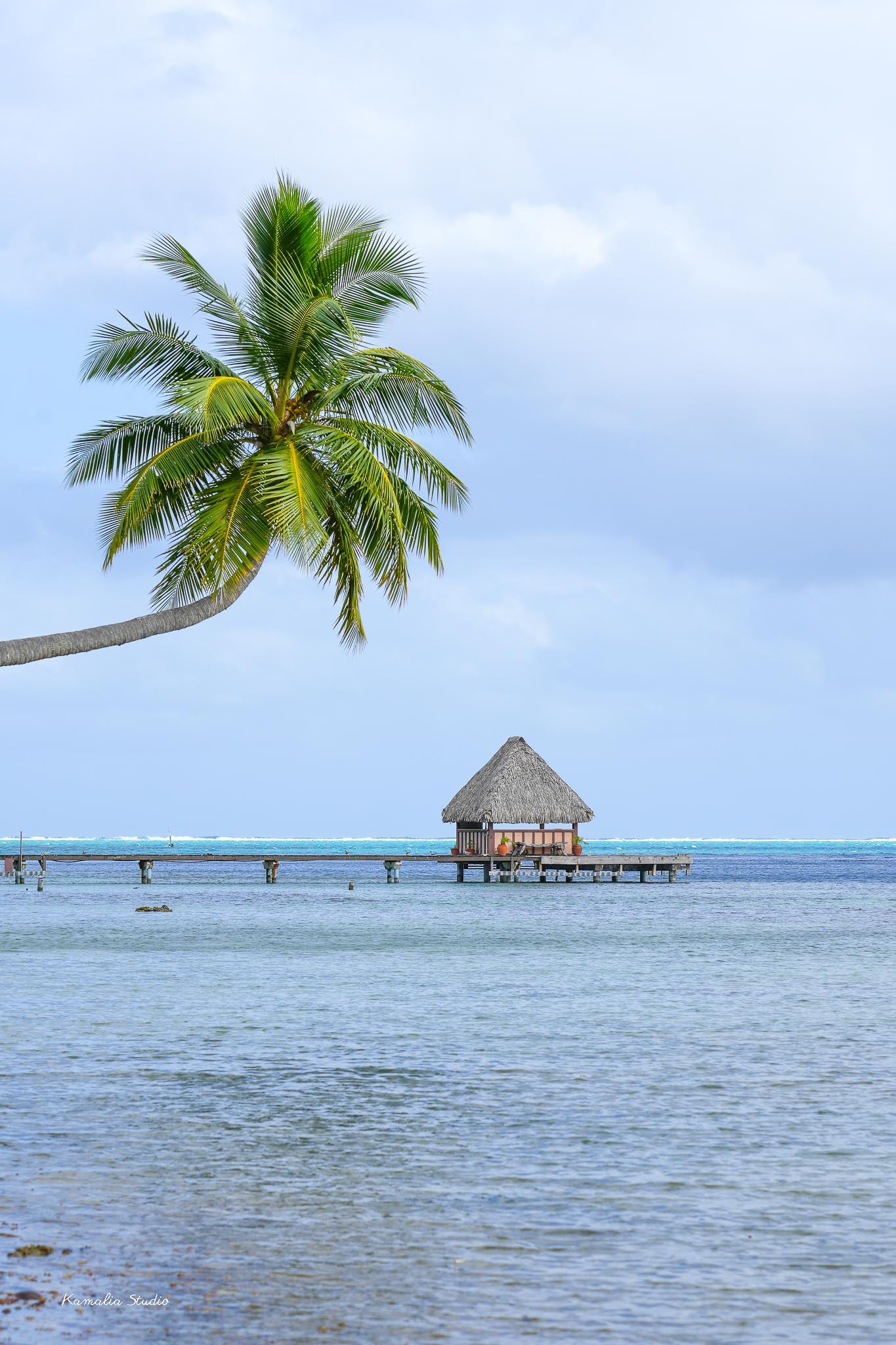 Bora Bora II Wall Art Print