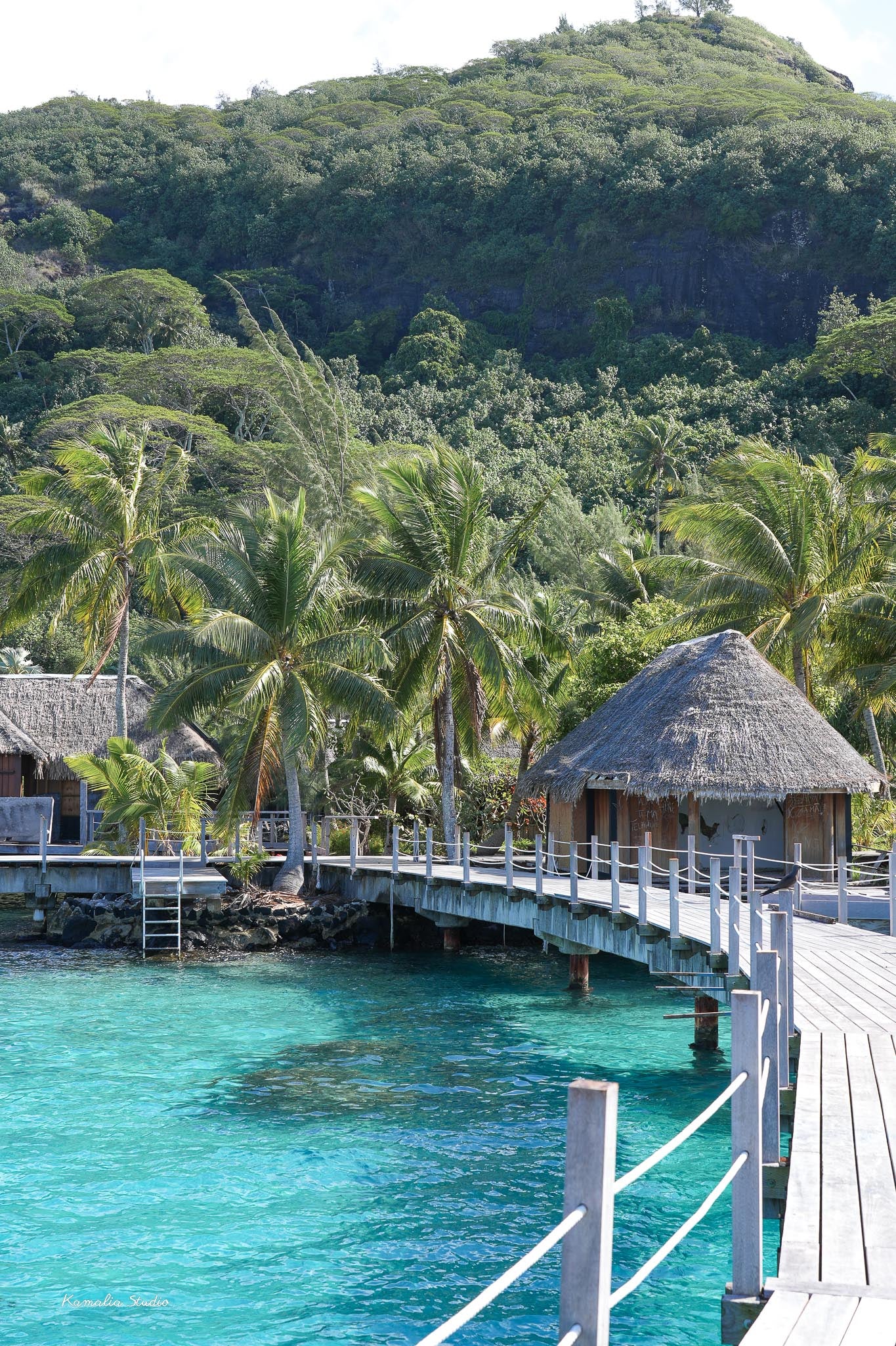 Iolana Wall Art Print