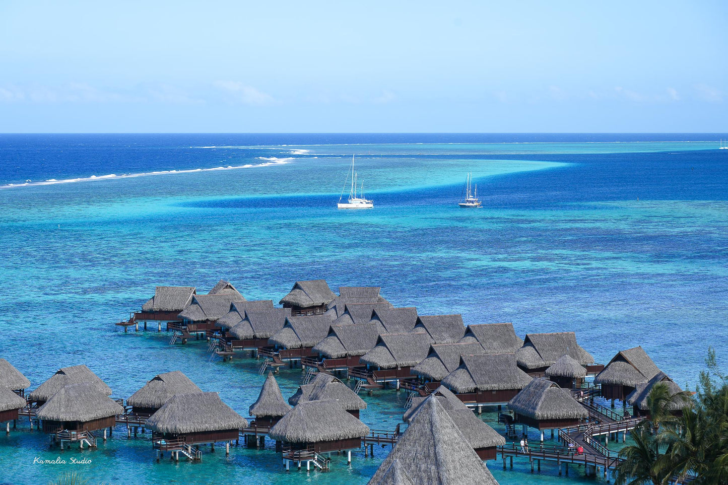 Moana Wall Art Print