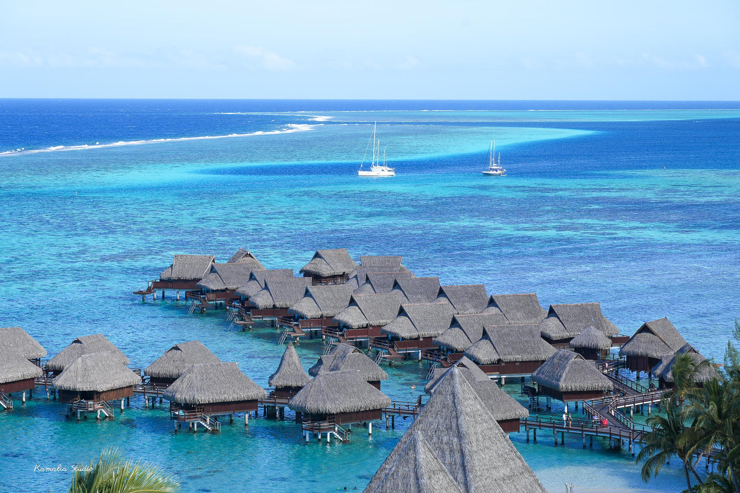 Moana Wall Art Print