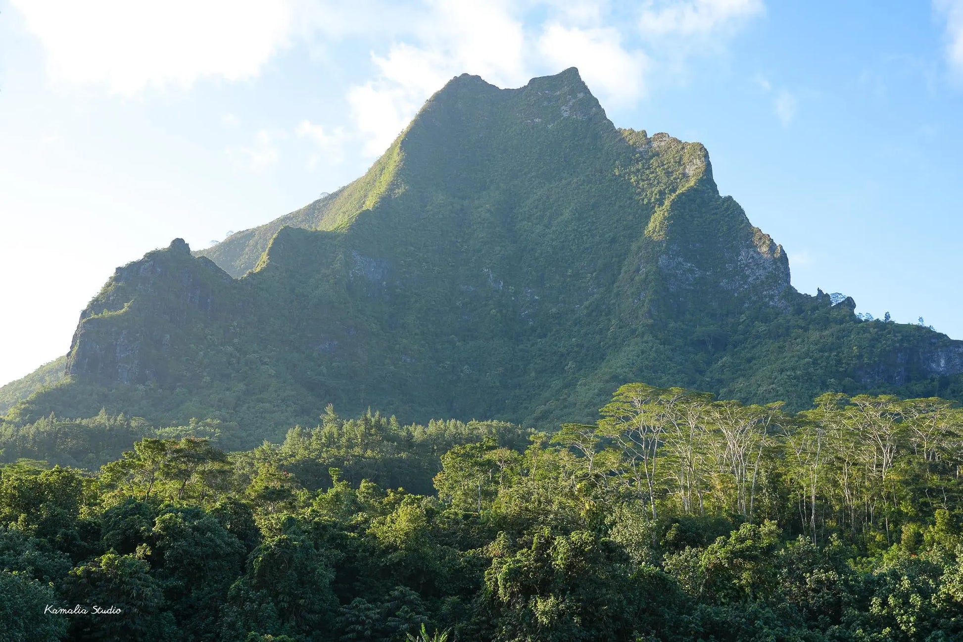 Belvedere Wall Art Print Kamalia Studio