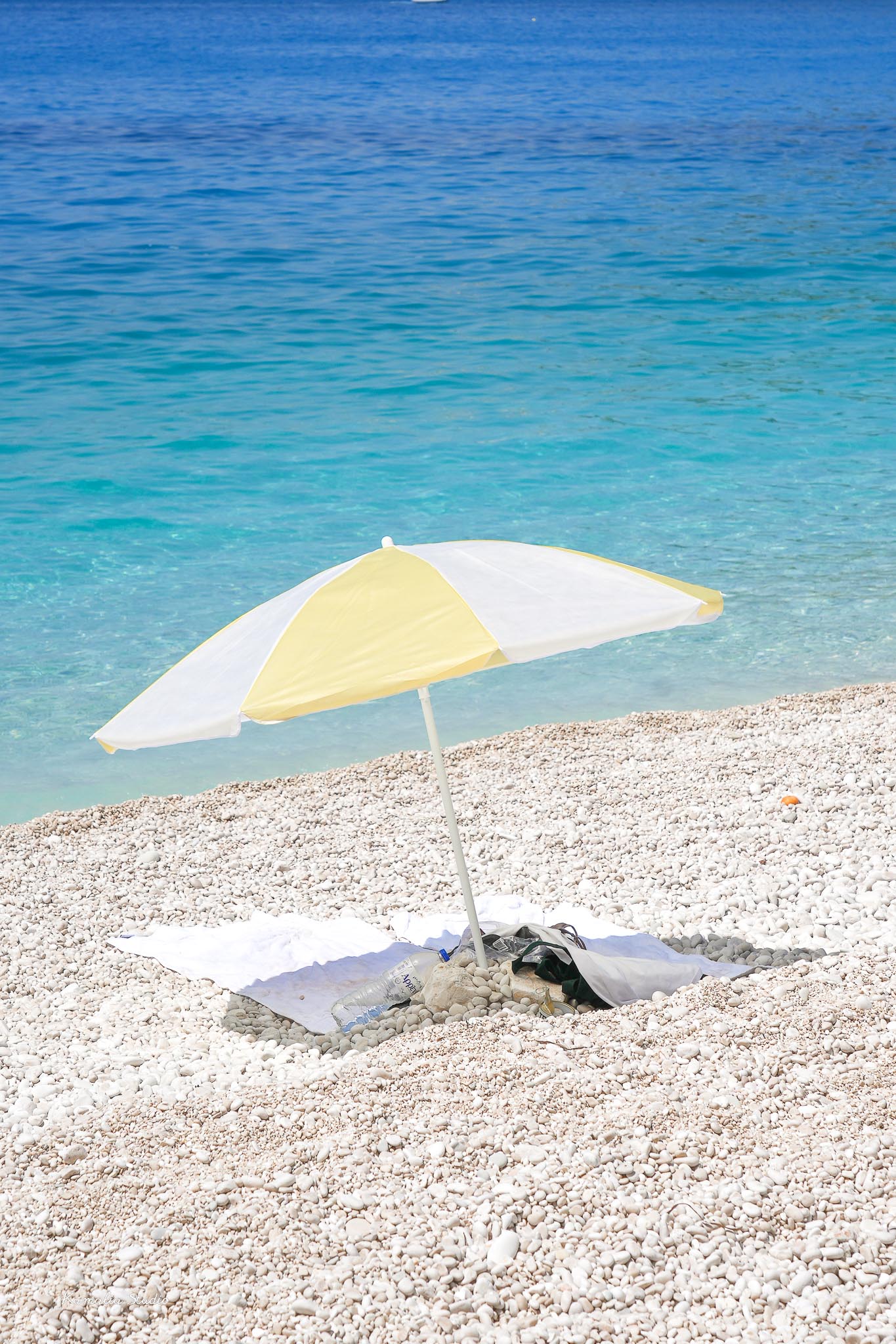 Flora Wall Art Print