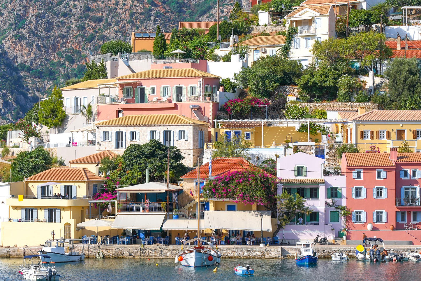 Nikola Wall Art Print