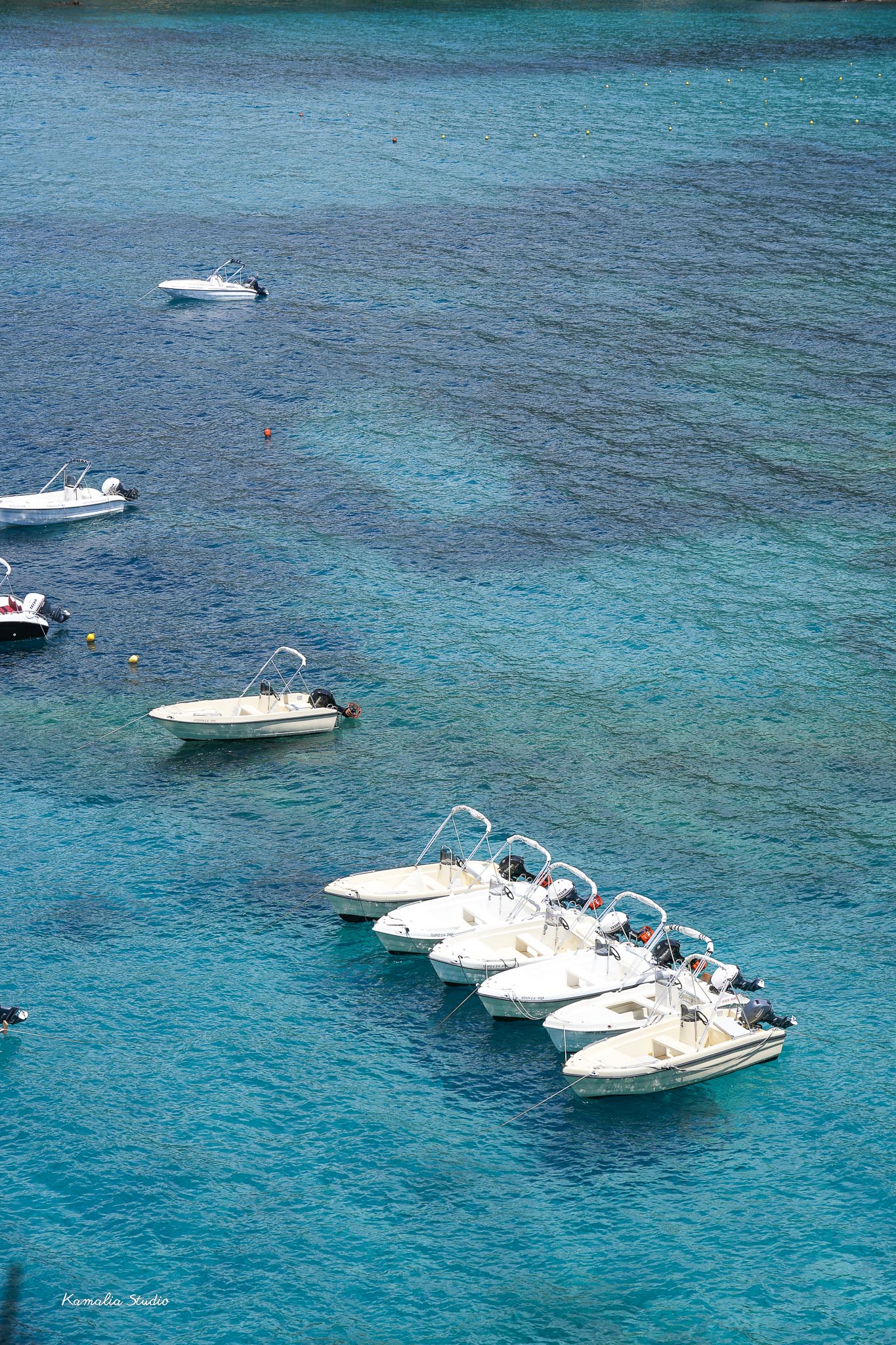 Phoebe Wall Art Print