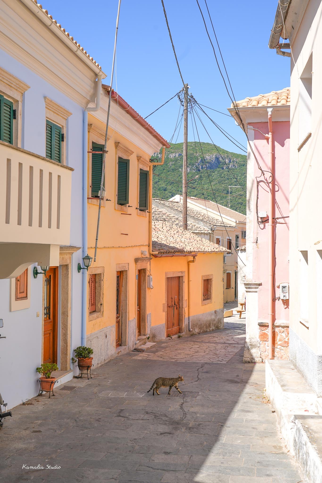 Adriana Wall Art Print