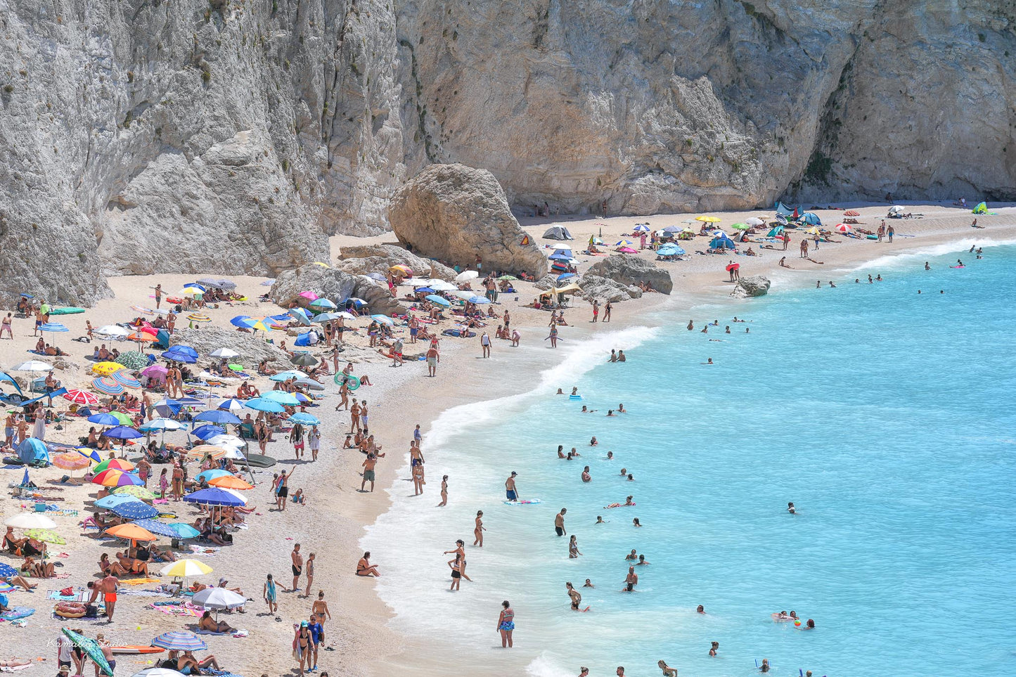 Poppy Wall Art Print