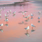 Birds of Byron Landscape Wall Art Kamalia Studio